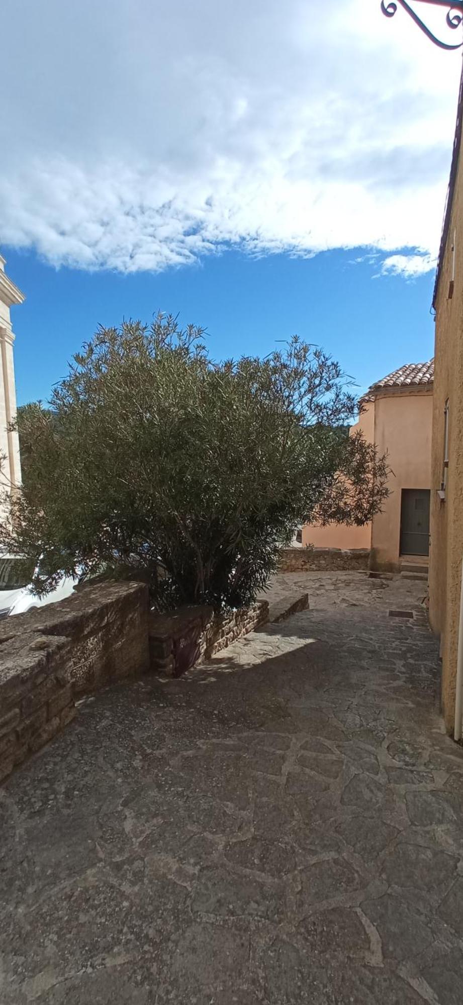Studio Tout Confort En Provence Mont Ventoux. Bédoin Екстериор снимка
