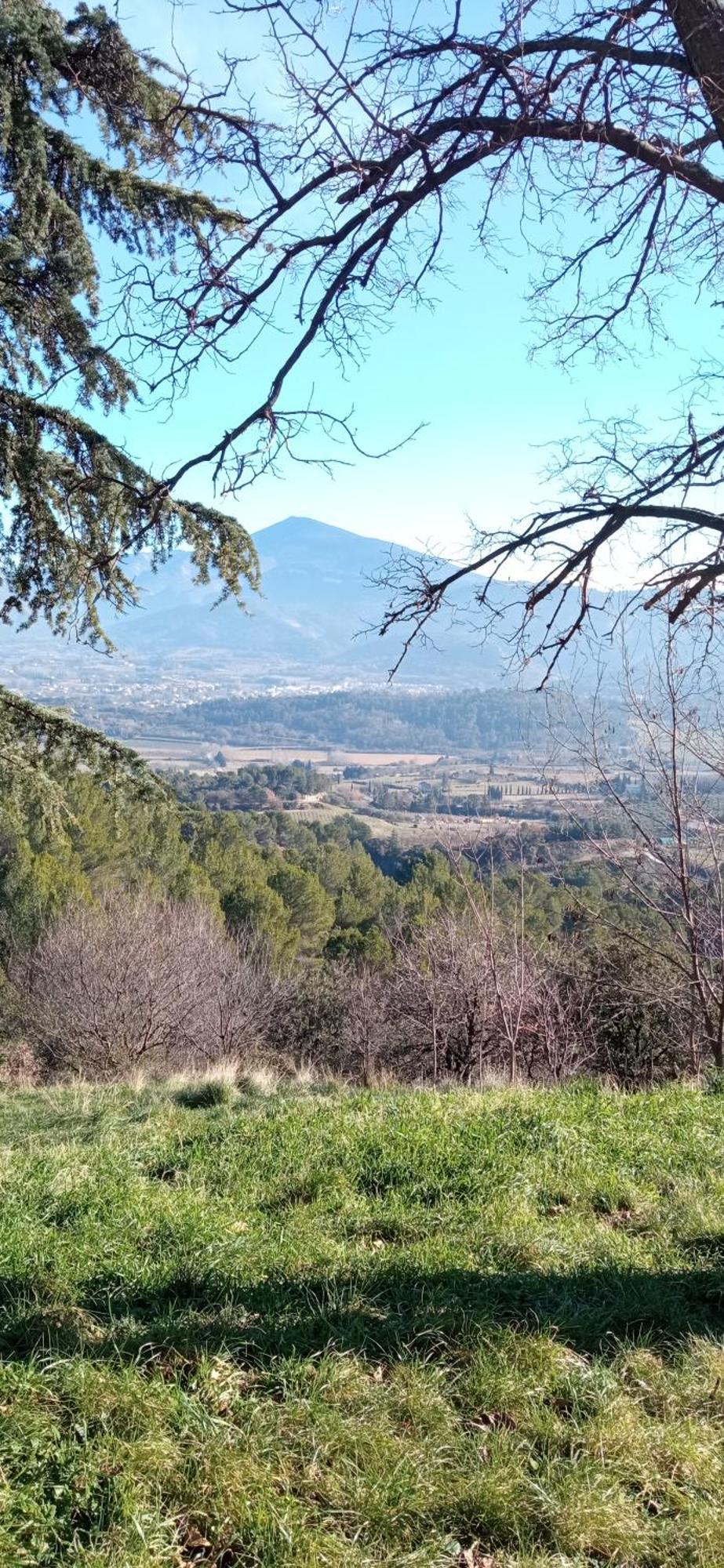 Studio Tout Confort En Provence Mont Ventoux. Bédoin Екстериор снимка